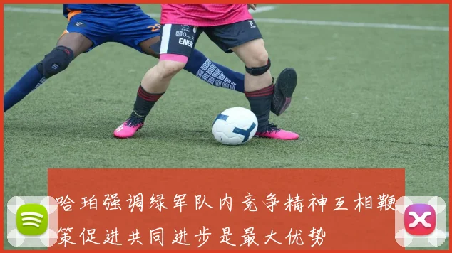 哈珀强调绿军队内竞争精神互相鞭策促进共同进步是最大优势