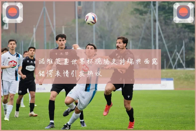 诺维茨基世界杯现场支持瑞典面露错愕表情引发热议