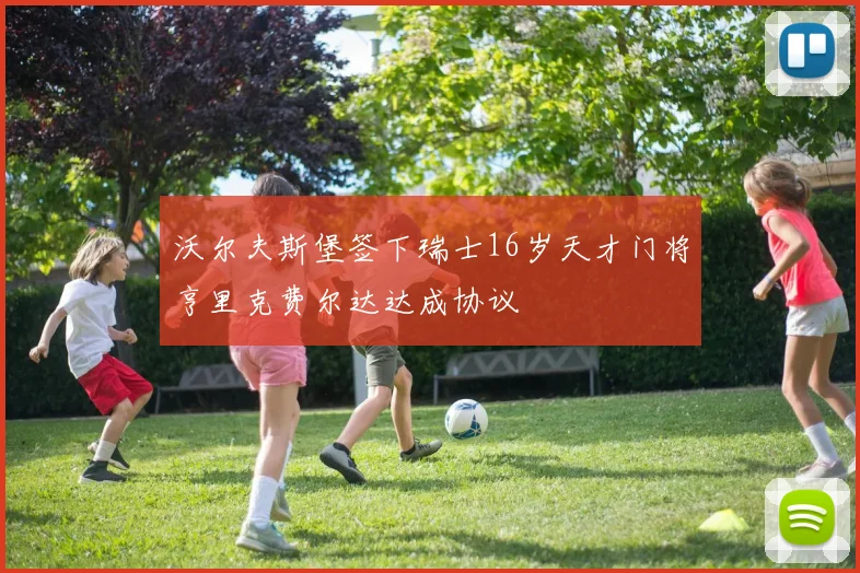 沃尔夫斯堡签下瑞士16岁天才门将亨里克费尔达达成协议